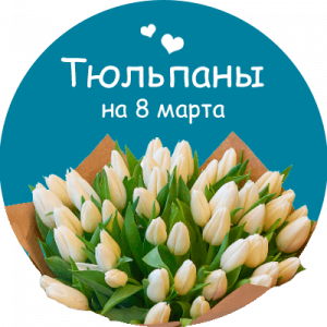 Купить тюльпаны в Городовиковске